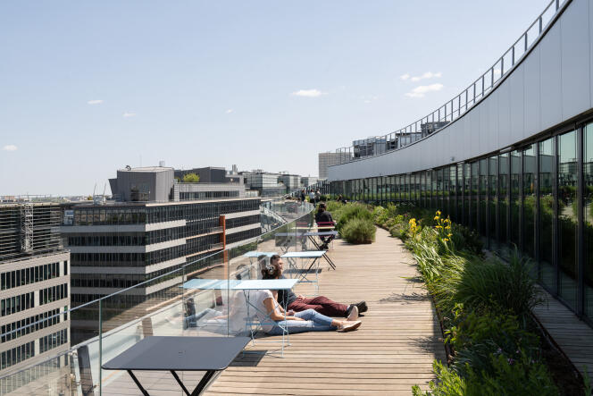 La terrasse du siège du groupe Le Monde, dans le 13e arrondissement de Paris, certifié Haute qualité environnementale.