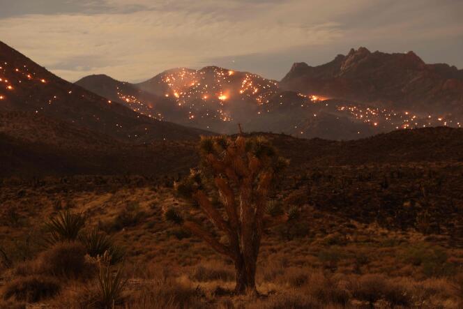 El “Fuego York” arde a lo lejos, en la Reserva Nacional Mojave, California (Estados Unidos), el 30 de julio de 2023.