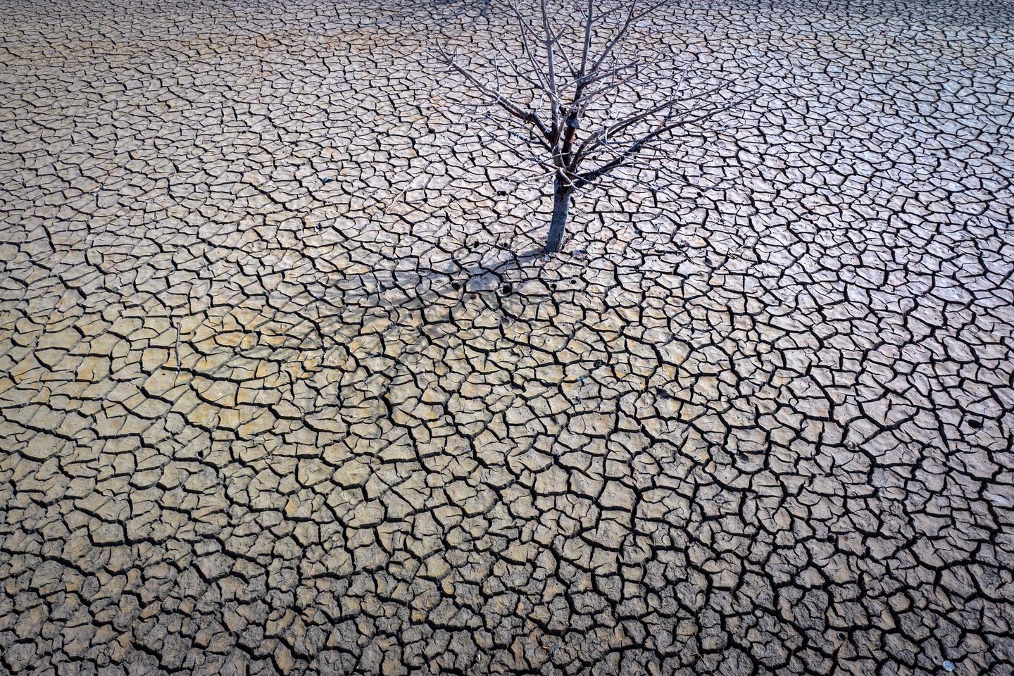 2024: A crucial year for climate diplomacy
