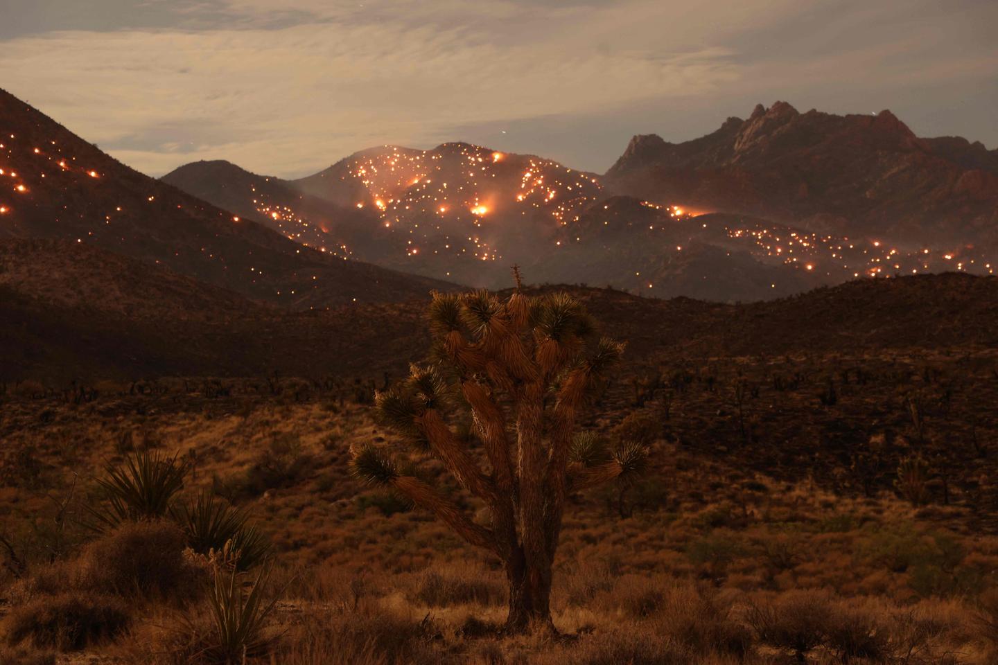2023, the hottest year on record: Unprecedented temperatures foreshadow the future