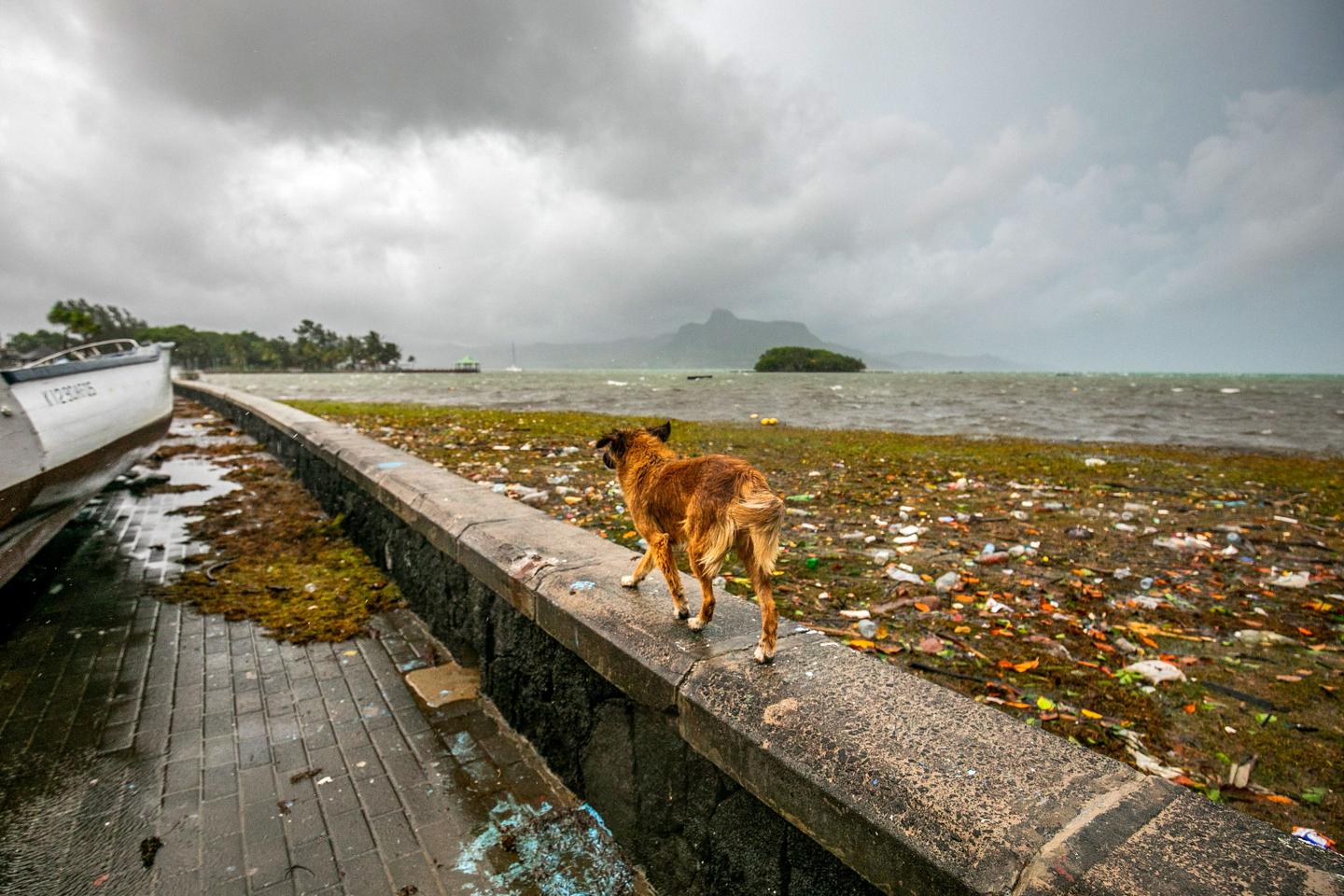 Mauritius lifts maximum alert in the wake of storm Belal