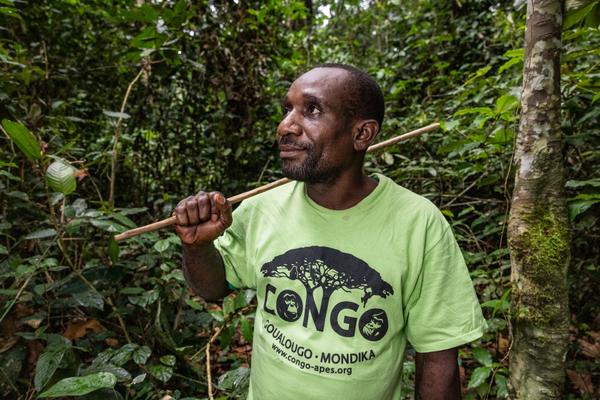 A member of the indigenous Bayaka ethnic group, Mengonga Donatien has been working at the Mondika research site in the Nouabalé-Ndoki National Park (NNNP) for 12 years.