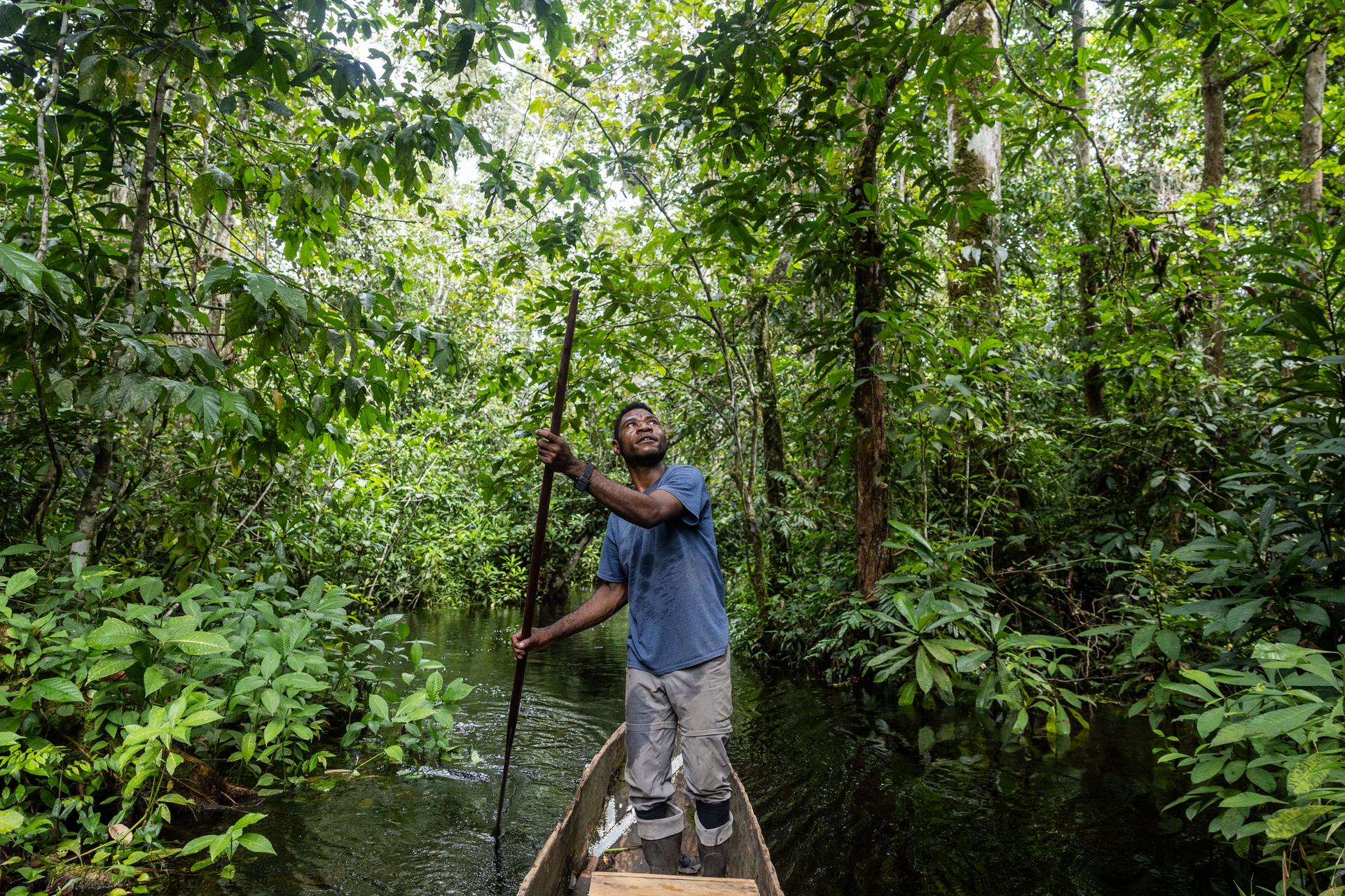 Bernard Makania has been a piroguier for the Wildlife Conservation Society (WCS) since 2016. He transports biologists, trackers and tourists to research stations in Congo-Brazzaville's Nouabalé-Ndoki National Park.