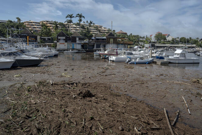 Des arbres tombés flottent dans la marina de Saint-Gilles-les-Bains, sur l’île de La Réunion, mardi 16 janvier 2024. 