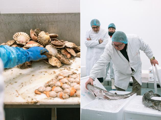 Transgourmet Seafood's filleting workshop at 6am on January 11