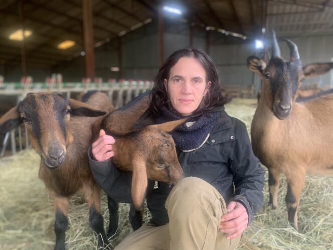 Delphine Serreau et ses chèvres, dans sa ferme de Néons-sur-Creuse (Indre), le 17 janvier.