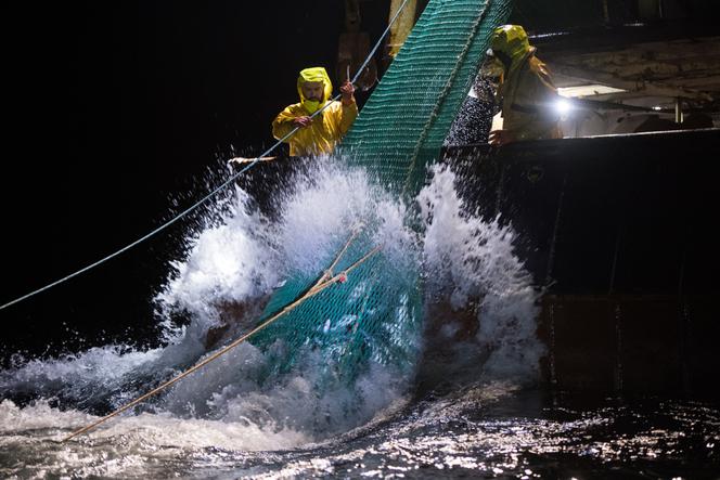 Pêche dans le golfe de Gascogne, le 8 janvier 2020.