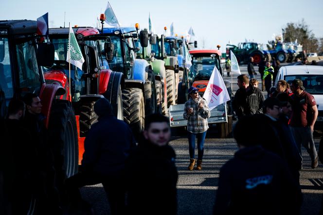 Images Le Monde.fr