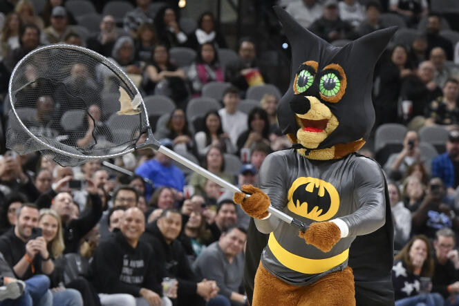 La mascotte des Spurs de San Antonio capture une chauve-souris à l’aide d’un filet lors du match face aux Timberwolves du Minnesota, le 27 janvier 2024.