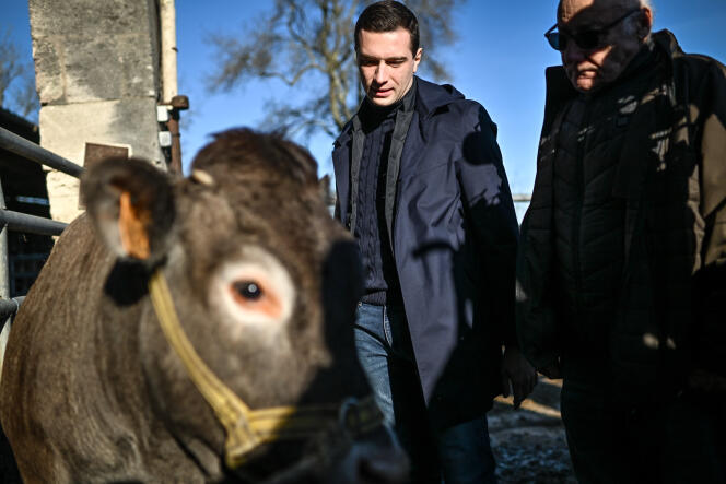 Jordan Bardella, le président du Rassemblement national, visite une exploitation bovine en compagnie de son propriétaire, à Queyrac (Gironde), le 20 janvier 2024.