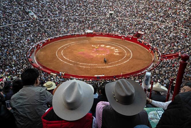 Des spectateurs assistent à une corrida dans l’enceinte de la « Plaza de Toros », à Mexico, le 28 janvier 2024.