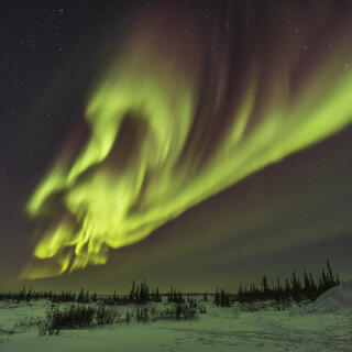 A classic complex of auroral curtains and swirls out of the northeast sky with prominent lower greens and upper reds from oxygen. Taken February 23, 2023 at the Churchill Northern Studies Centre, Churchill, Manitoba. This is a single 8-second exposure at ISO 800 to freeze the motion somewhat, with the Venus Optics 15mm lens at f/2 and Canon R6.