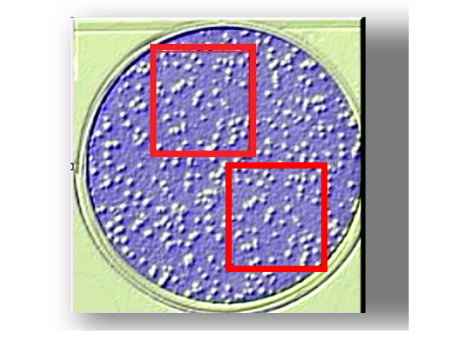 Exemple de duplication frauduleuse d’une partie d’image en microscopie, repérée par le logiciel Proofig.