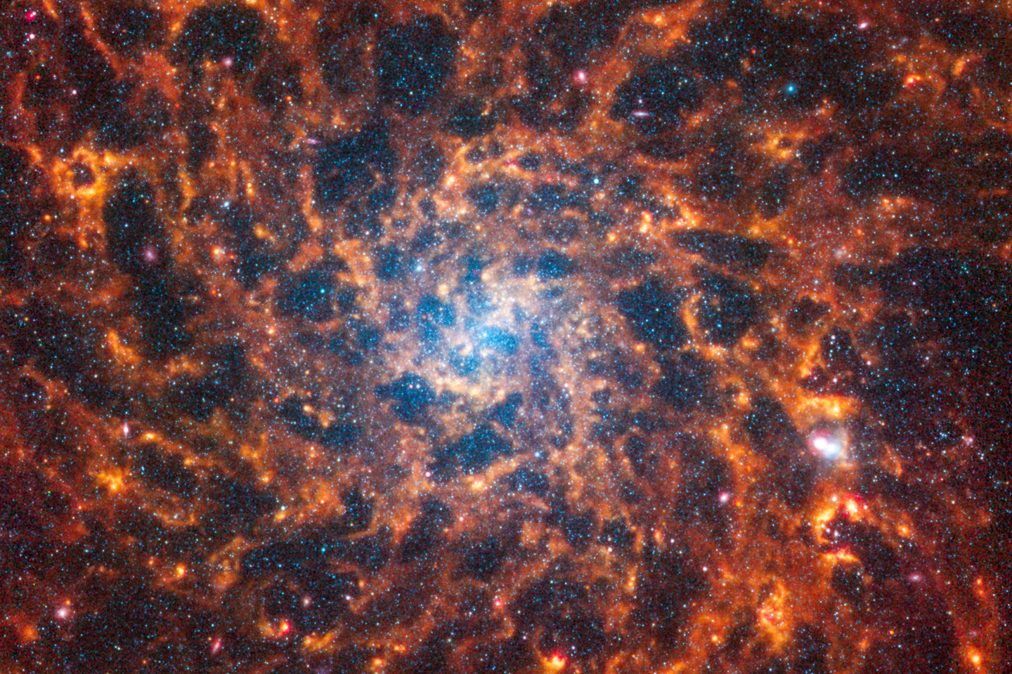 James Webb Telescope: Deciphering the new images of spiral galaxies