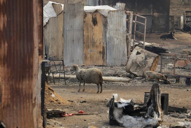 Images Le Monde.fr