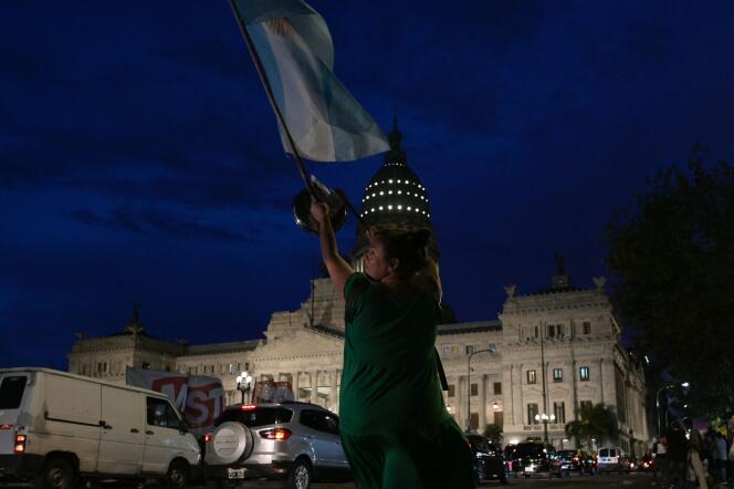 Une femme brandit un drapeau argentin devant le Congrès, à Buenos Aires, le 6 février 2024.