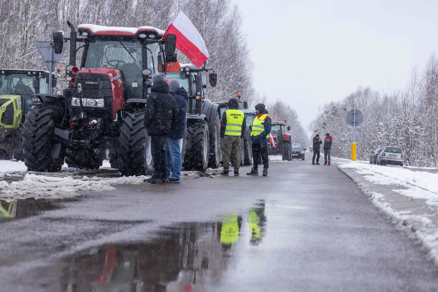 Ukraine calls for Poland to 'punish' grain-spilling farmers as probe opened