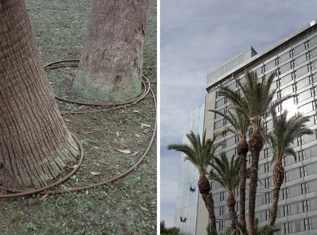 In front of the entrance to the Torre Melina Gran Melia Hotel, Barcelona, February 6, 2024. The lawn has been greened with eco-friendly paint.