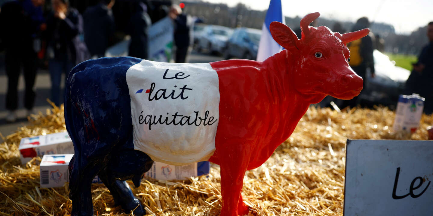 Des agriculteurs bloquent un camion Lactalis, en vident le lait et le redistribuent aux éleveurs en Haute-Saône pour dénoncer les prix d’achat