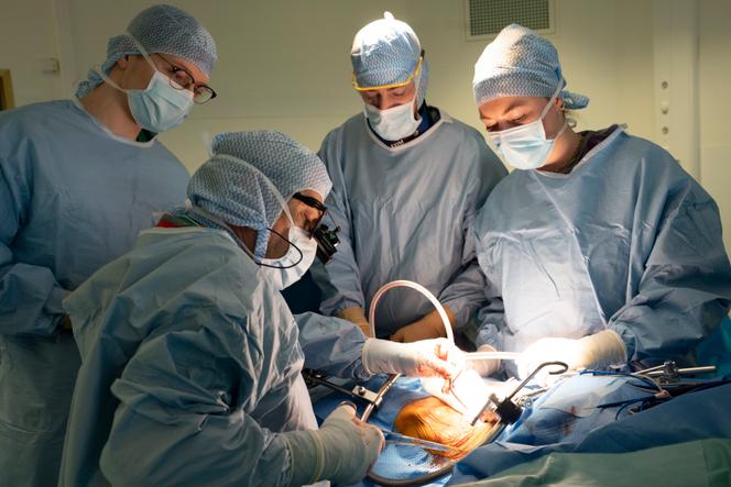 Intervention à l’hôpital de la Timone, à Marseille, le 6 février 2024.