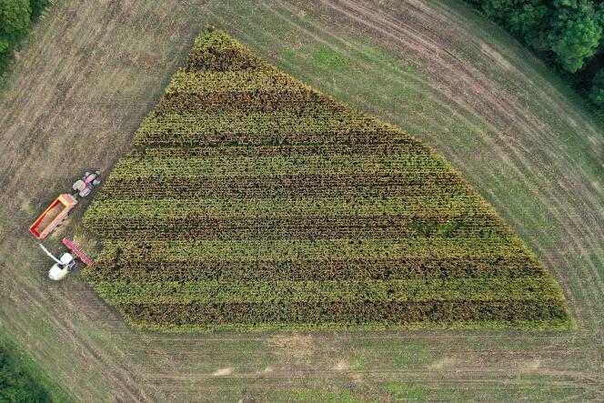 Une vue aérienne de la récolte du maïs dans l’Est de la France, en 2020.