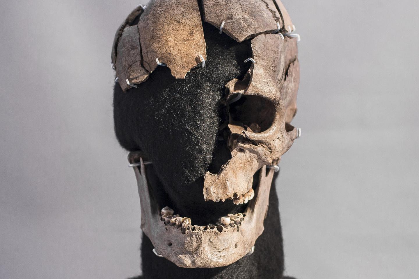 The story behind Vittrup man, a migrant killed in Denmark 3,000 years ago
