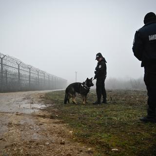 Images Le Monde.fr