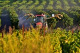 Un producteur traite ses vignes près de Carcassonne, en août 2020.
