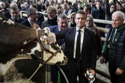 Le président français, Emmanuel Macron, au Salon international de l’agriculture, à ​​Paris, le 24 février 2024.

