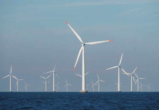 Une ferme d’éoliennes offshore près de Nysted, au Denmark, le  4 septembre 2023.
