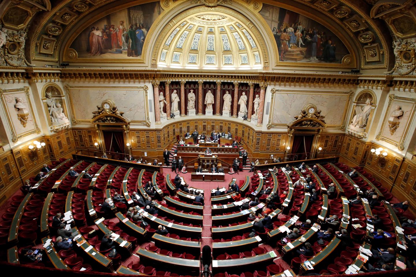 French Sénat set to vote on making abortion a constitutional 'freedom'