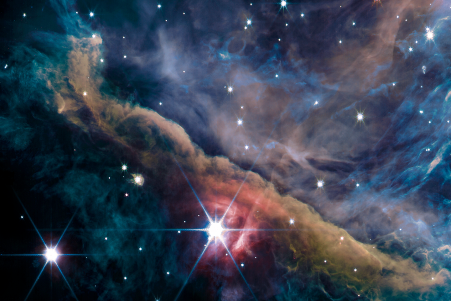 Stellar radiation shapes the disks in which planets are born