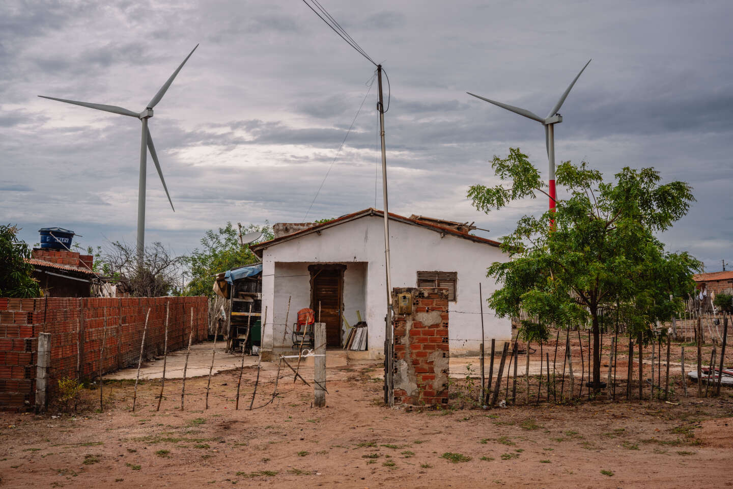 Au Brésil, les ravages de la « ruée vers le vent »
