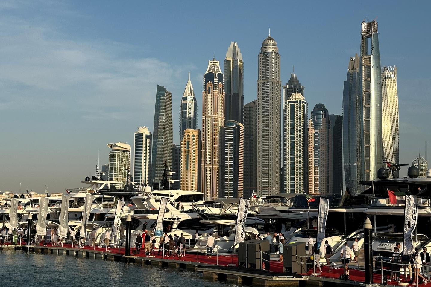 MEPs are alarmed by the possible removal of the United Arab Emirates from the anti-money laundering blacklist