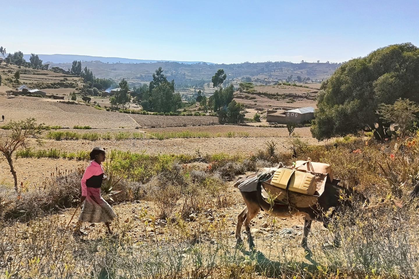 En Etiopía, la hambruna en Tigray, una batalla política