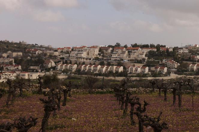 La colonie israélienne d’Efrata construite sur les terres de la ville palestinienne d’Al-Khader, en Cisjordanie, le 6 mars 2024.