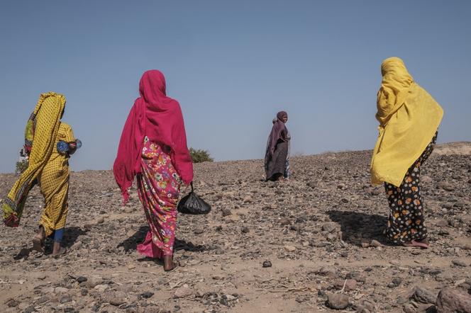 Images Le Monde.fr
