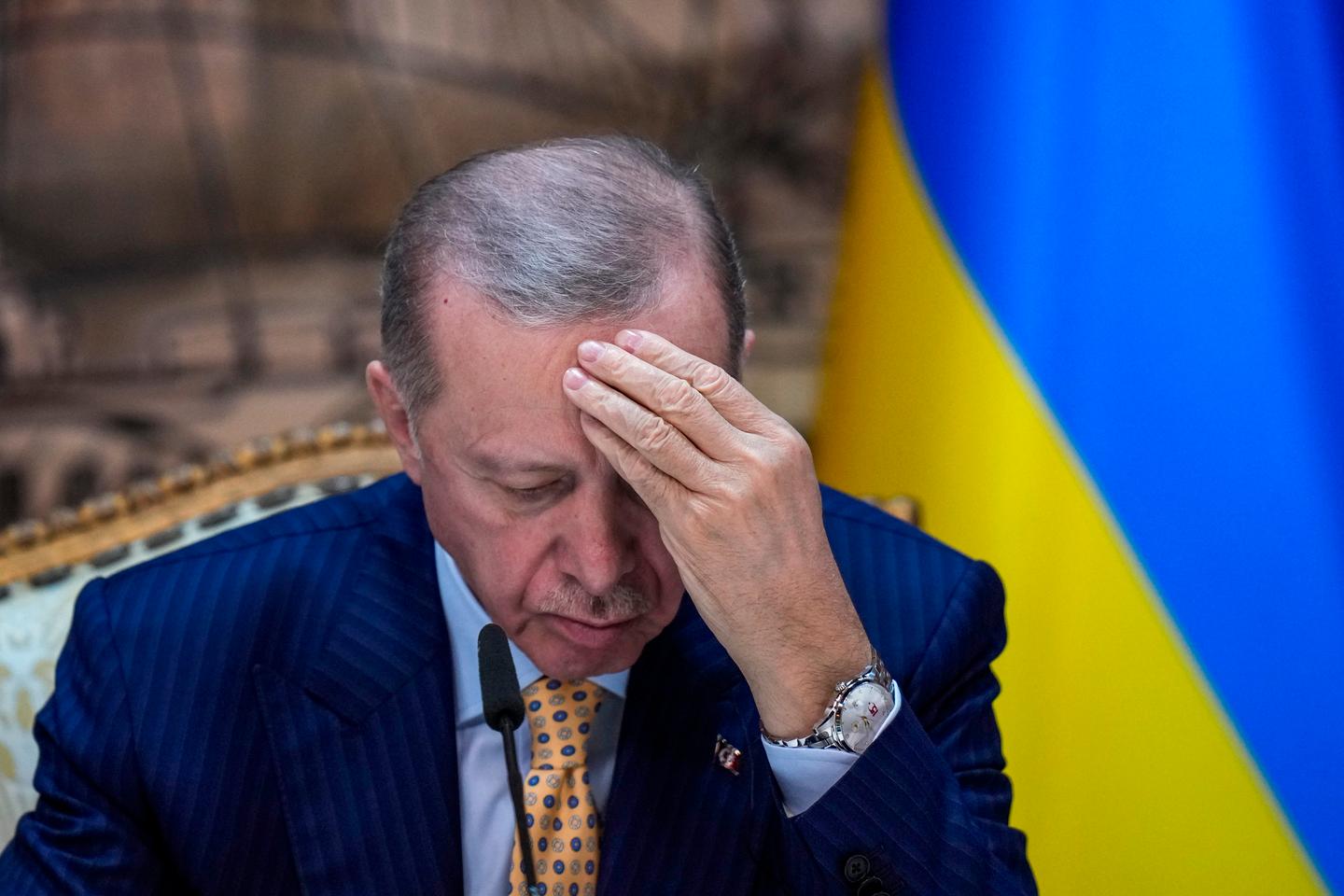 Erdogan says March local elections will be his 'last'