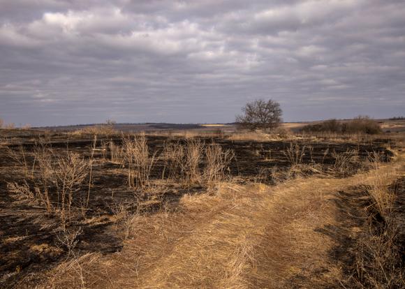 Campi bruciati in seguito ai combattimenti nella regione di Donetsk (Donbass), Ucraina orientale, il 9 marzo 2024.