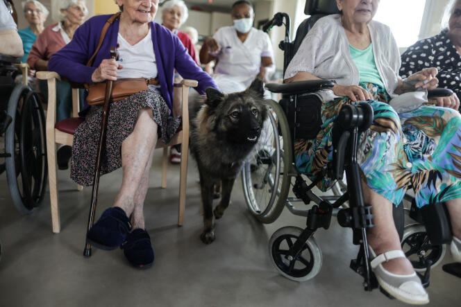 Residents take part in a workshop with a dog at Le Sablonat retirement home in Bordeaux, southwest France, June 16, 2022.