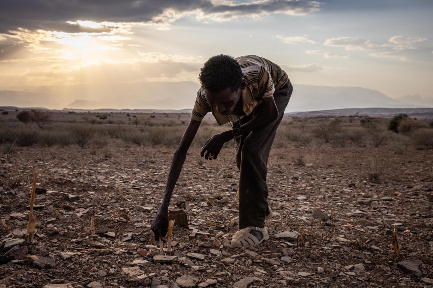 Ethiopia's hidden famine needs national and global attention