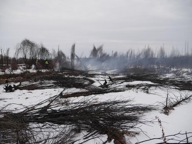 Des pompiers luttent contre des incendies persistants malgré le froid et la neige, à Fox Lake (Alberta, Canada), le 6 février 2024.