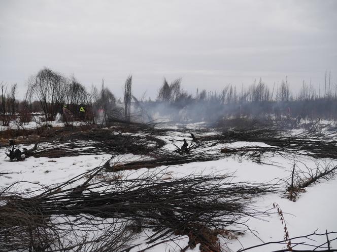 Des pompiers luttent contre des incendies persistants malgré le froid et la neige, à Fox Lake (Alberta, Canada), le 6 février 2024.