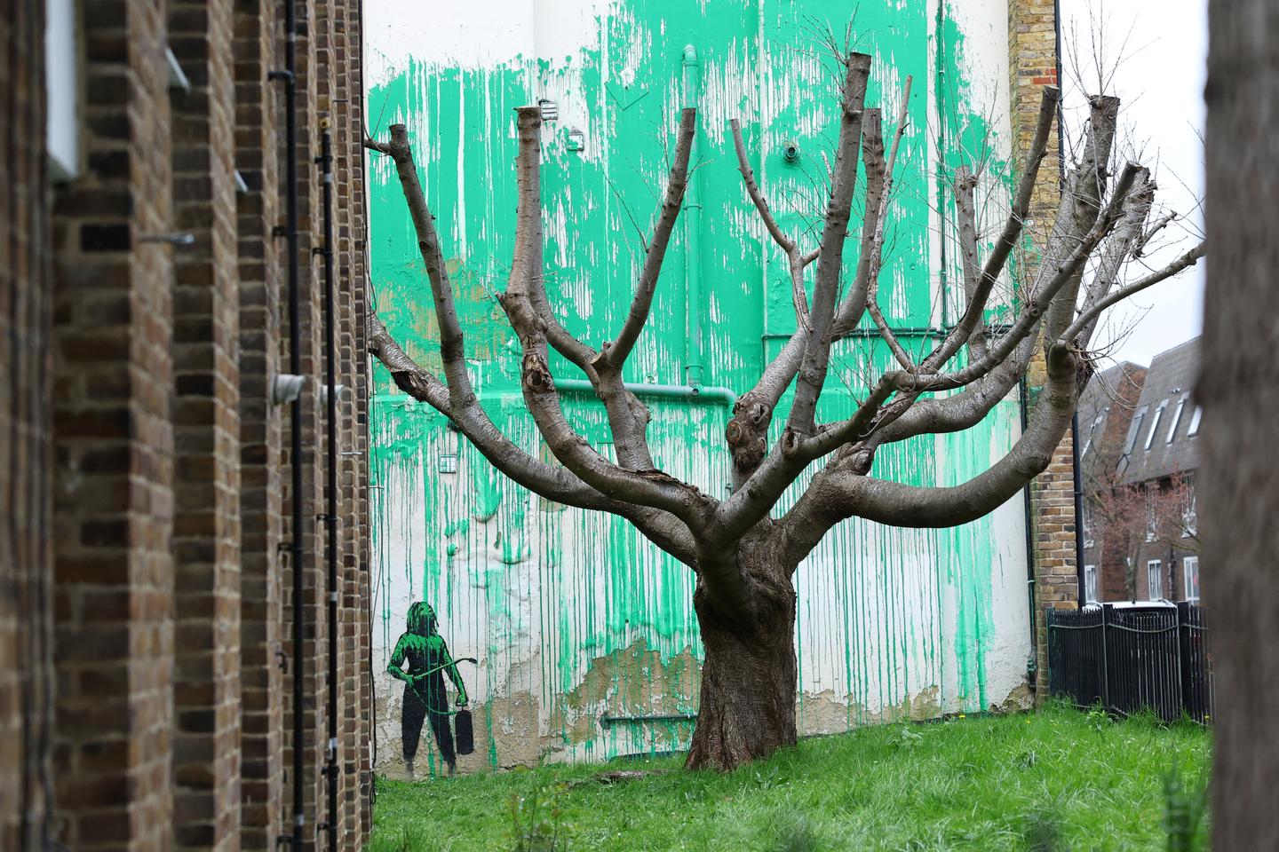 New Banksy mural with presumed environmental message sprouts beside a cropped tree in London