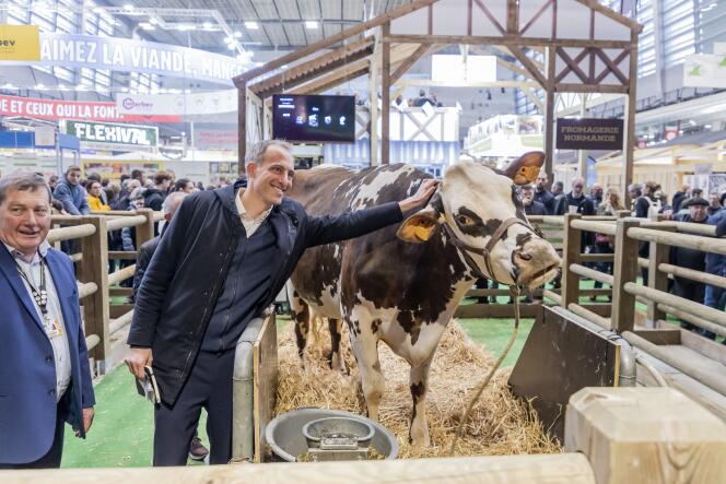 Raphaël Glucksmann, jefe de lista del Partido Socialista para las elecciones europeas del 9 de junio con la musa vaca del Salón Agrícola, en París, el 25 de febrero de 2024.