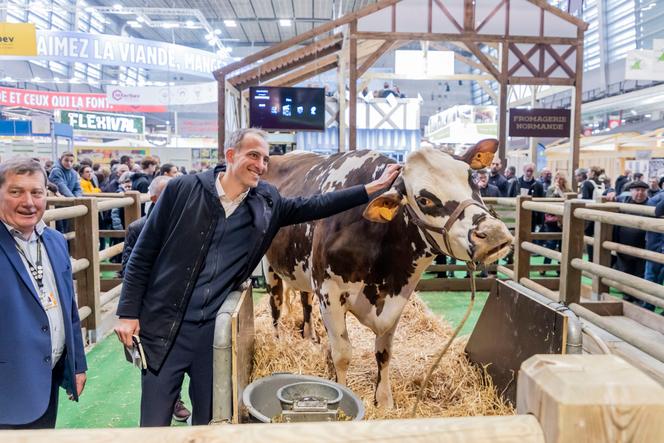 Raphaël Glucksmann, jefe de lista del Partido Socialista para las elecciones europeas del 9 de junio con la musa vaca del Salón Agrícola, en París, el 25 de febrero de 2024.