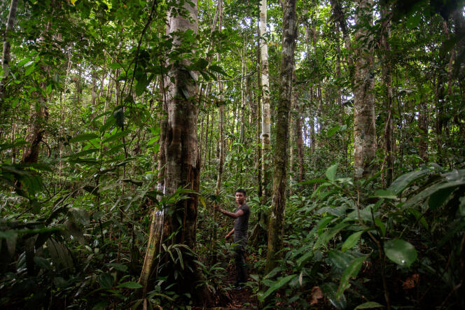 Dans la province d'Amazonas (Miriti-Parana), Colombie, le 18 décembre 2021. 