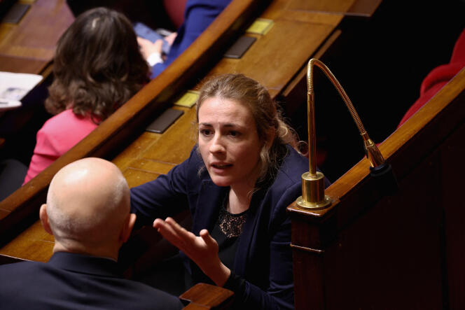 La députée écologiste Marie Pochon, à l'Assemblée nationale, à Paris, le 4 avril 2024.