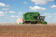 During a cotton harvest by Grupo Horita, in the state of Bahia (Brazil), in June 2023.
