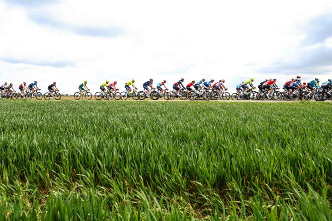 Le peloton masculin, lors de l’Amstel Gold Race 2024 à Beek le 14 avril 2024.
